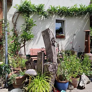 Apartment Gartenzimmer Mit Strassenbahn Zu Dom Und Messe, Köln